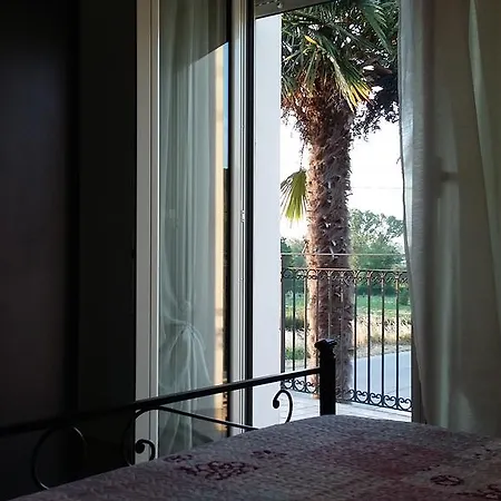 Casa Vacanze Le Due Palme * Miglianico